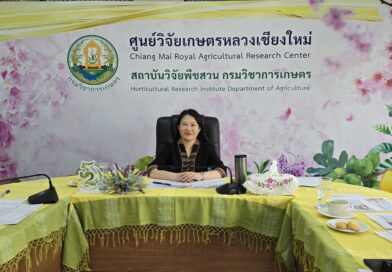 ดร.อรทัย วงค์เมธา ผู้อำนวยการศูนย์วิจัยเกษตรหลวงเชียงใหม่ เป็นประธานในการประชุมการดำเนินงานผลิตพันธุ์พืชและปัจจัยการผลิต ศกล.ชม. ครั้งที่ 1/2568