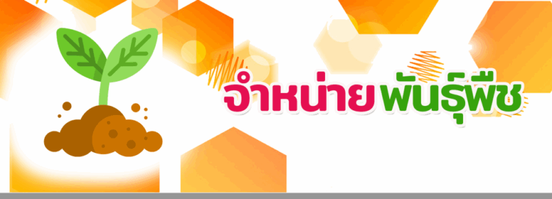 การจำหน่ายพันธุ์พืช