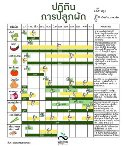 ปฏิทินการปลูกผัก