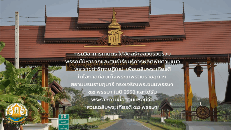 แนะนำสวนเฉลิมพระเกียรติ 55 พรรษา