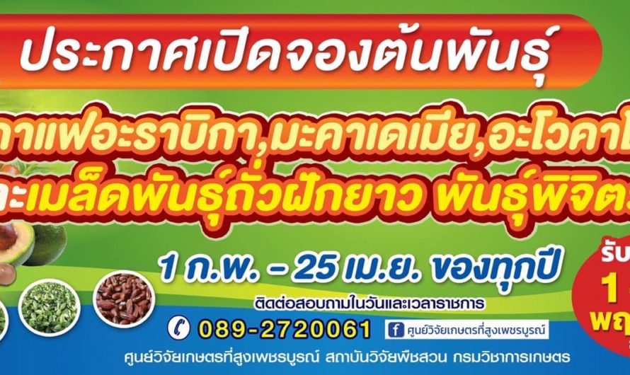 ประกาศ📍 ศูนย์วิจัยเกษตรที่สูงเพชรบูรณ์ เปิดให้จองต้นพันธุ์