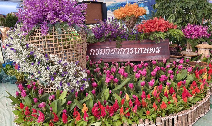 นิทรรศการงานสีสรรพรรณไม้เทิดไท้บรมราชินีนาถ