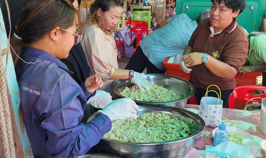 เข้าร่วมการฝึกอบรมหลักสูตรการเพิ่มประสิทธิภาพ การแปรรูปโกโก้คุณภาพ