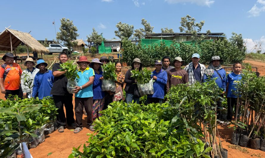 ส่งมอบกิ่งพันธุ์มะคาเดเมีย ต้นกล้ากาแฟอาราบิก้าเชียงใหม่ 80  ให้แก่เกษตรกร บ้านทับเบิกและบ้านนาสะอุ้ง