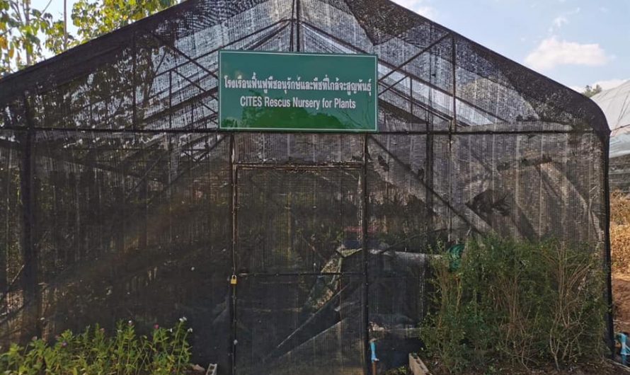 ศูนย์วิจัยพืชสวนเลย มีโรงเรือนฟื้นฟูพืชอนุรักษ์และพืชใกล้สูญพันธุ์