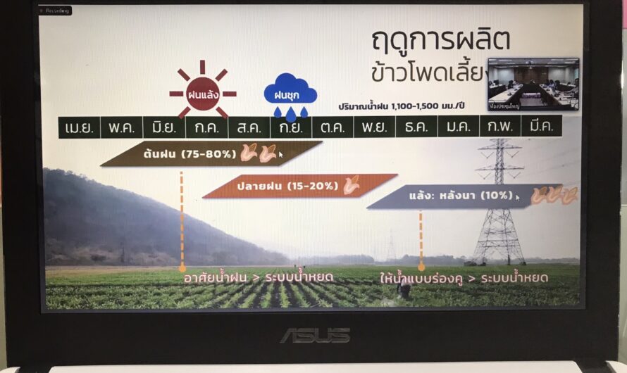ร่วมกิจกรรมการแลกเปลี่ยนเรียนรู้ การจัดการความรู้ ครั้งที่ 2/2567