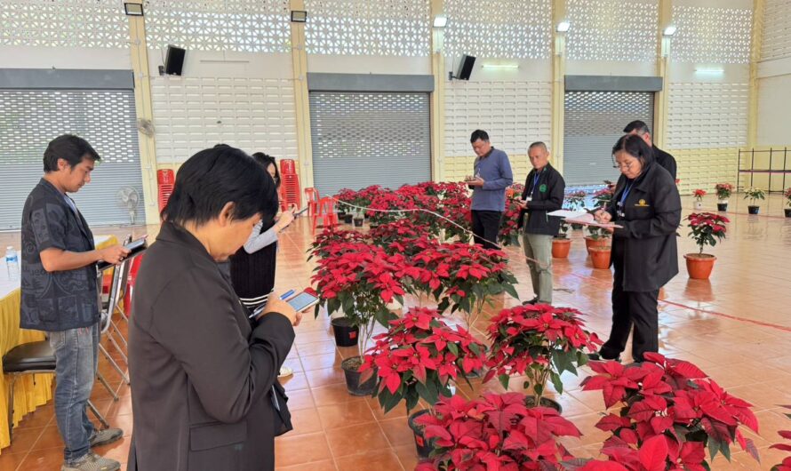 ร่วมตัดสินการประกวดต้นคริสต์มาส โครงการ 1 อำเภอ 1 โครงการสำคัญ งานเทศกาลต้นคริสต์มาส ครั้งที่ 14