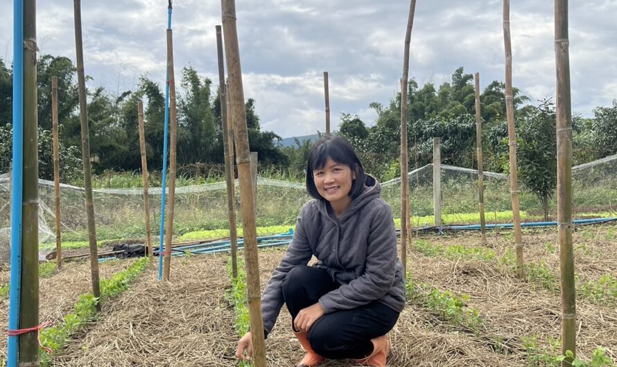 การทดสอบพันธุ์ถั่วลันเตาฝักสีเขียวและฝักสีม่วงในแหล่งปลูกที่มีศักยภาพในการผลิตเชิงการค้า