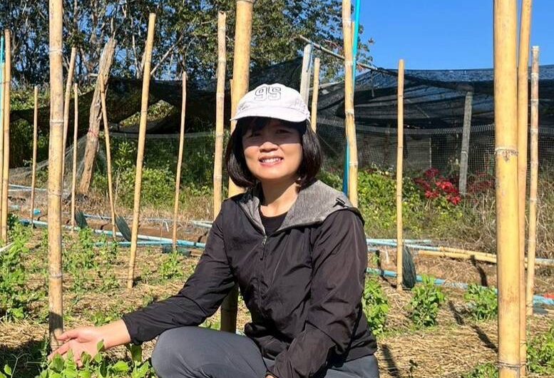 ปฏิบัติการทดลอง การทดสอบพันธุ์ถั่วลันเตาฝักสีเขียวและฝักสีม่วงในแหล่งปลูกที่มีศักยภาพในการผลิตเชิงการค้า