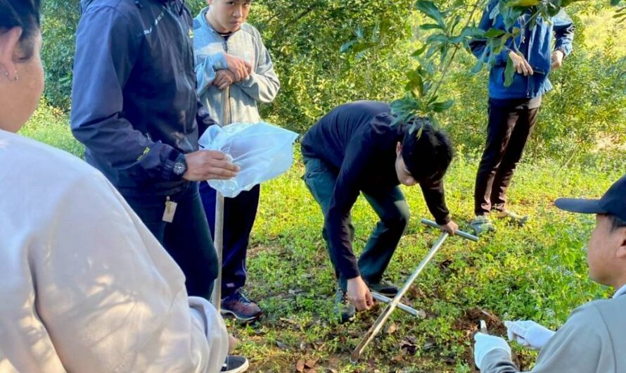 ปฏิบัติการทดลอง การทดสอบเทคโนโลยีการจัดการธาตุอาหารในการผลิตมะคาเดเมียในแปลงเกษตรกร