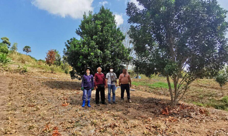 ตรวจติดตามแปลงต้นแบบและแปลงขยายผลโครงการสร้างป่าสร้างรายได้อันเนื่องมาจากพระราชดำริ