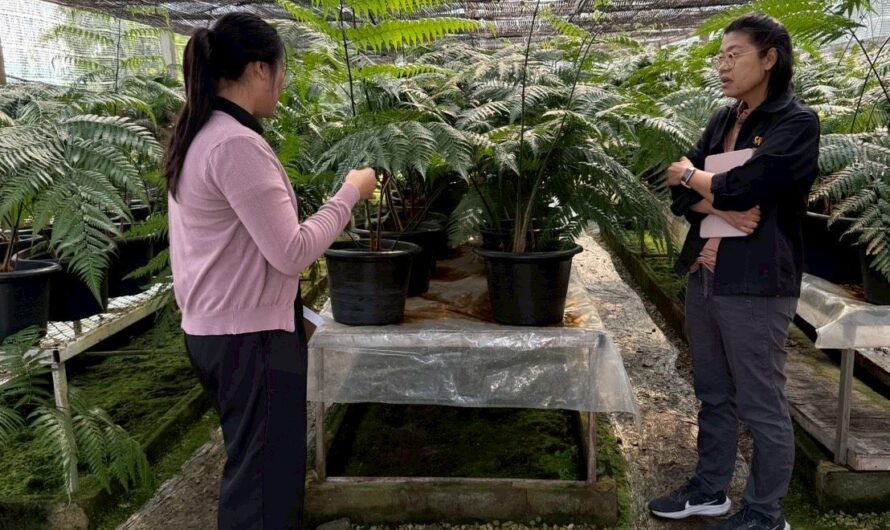 การติดตามความก้าวหน้าการดำเนินงานโครงการวิจัยและพัฒนาแนวทางการใช้ประโยชน์พืชอนุรักษ์และพืชที่ใกล้สูญพันธุ์