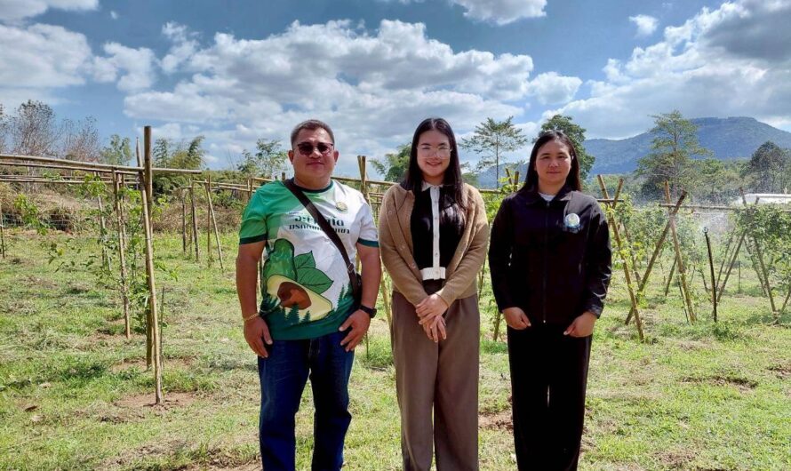 คัดเลือกสายต้นเสาวรสจากแหล่งปลูกต่างๆ สำหรับบริโภคสด รุ่นที่ 1 ในพื้นที่จังหวัดเพชรบูรณ์