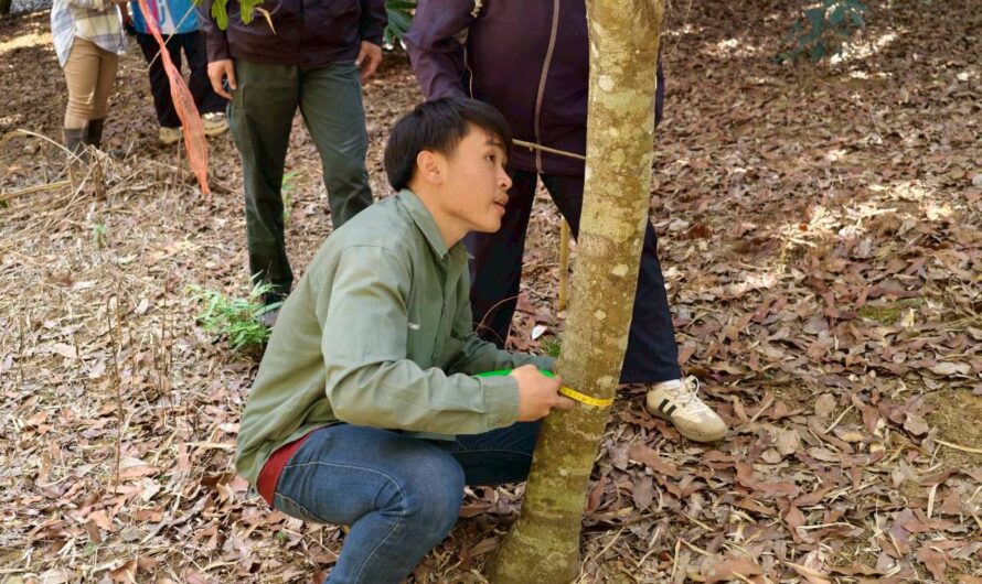 การทดสอบเทคโนโลยีการจัดการธาตุอาหารในการผลิตมะคาเดเมียในแปลงเกษตรกรจังหวัดเลย และจังหวัดเชียงใหม่