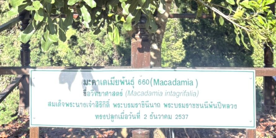 การเข้าสำรวจข้อมูลต้นไม้ทรงปลูก ในสมเด็จพระนางเจ้าสิริกิติ์ พระบรมราชินีนาถ พระบรมราชชนนีพันปีหลวง