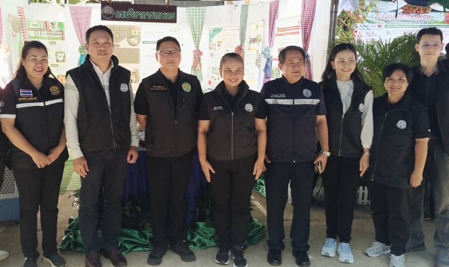 ร่วมงาน เทศกาลกินเงาะเมืองเลย ของดีตำบลเสี้ยว ประจำปี 2569