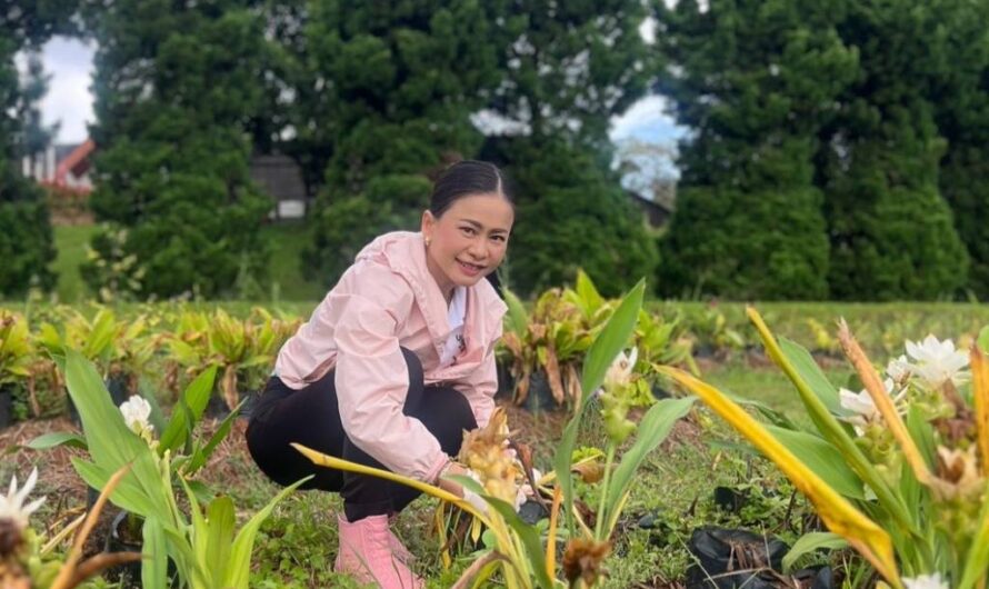 กิจกรรมการปรับปรุงภูมิทัศน์โครงการท่องเที่ยวเชิงอนุรักษ์ด้านการเกษตร