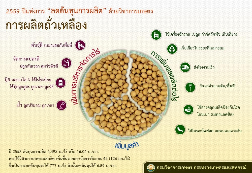ถั่วเหลือง