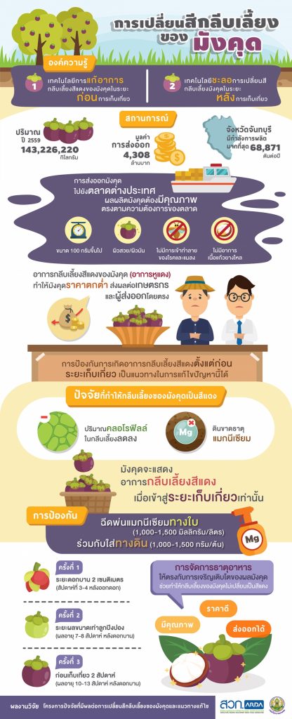 การเปลี่ยนสีกลีบเลี้ยงของมังคุด