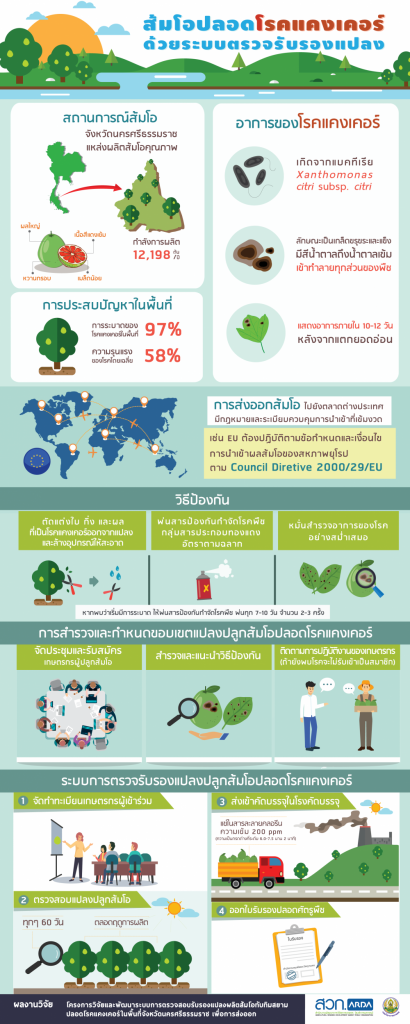 ส้มโอปลอดโรคแคงเคอร์ ด้วยระบบตรวจรับรองแปลง