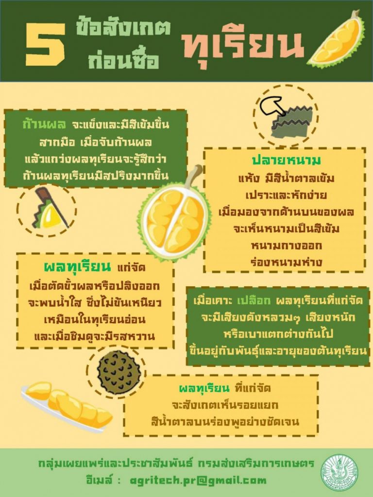 5 ข้อสังเกตุก่อนซื้อทุเรียน