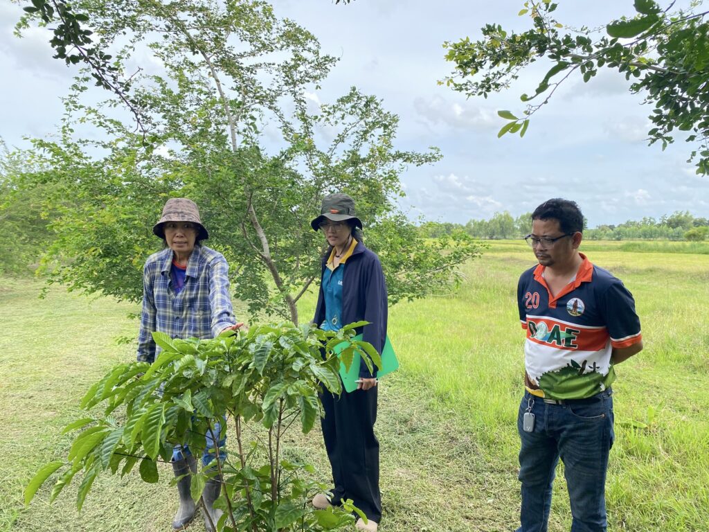 ลงพื้นที่ร่วมกับสำนักงานเกษตรอำเภออุทุมพรพิสัย ในการคัดเลือกเกษตรกร เพื่อขยายผลเทคโนโลยีการผลิตกาแฟโรบัสตาศรีสะเกษ