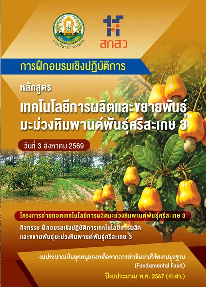 เทคโนโลยีการผลิตและขยายพันธุ์มะม่วงหิมพานต์ พันธุ์ศรีสะเกษ3