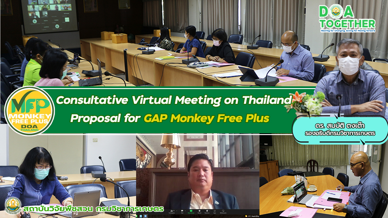 Consultative Virtual Meeting on Thailand Proposal for GAP Monkey Free Plus