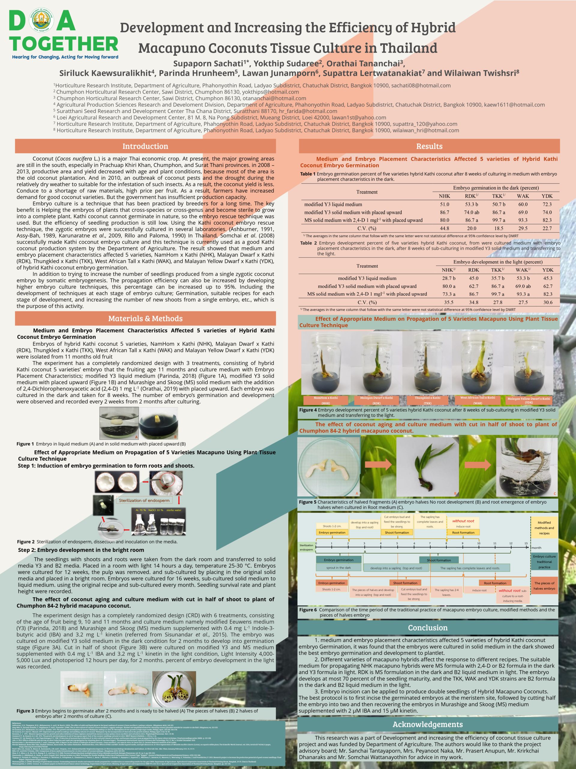 Development and Increasing the Efficiency of Hybrid Macapuno Coconuts Tissue Culture in Thailand