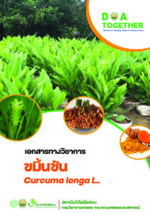 เอกสารวิชาการ “ขมิ้นชัน”