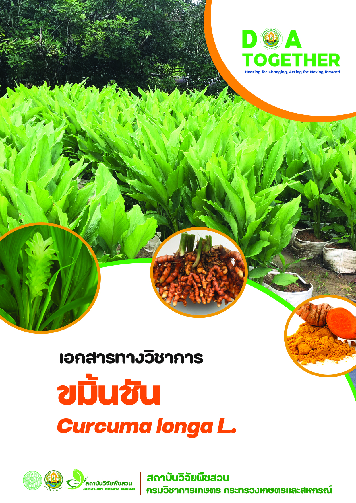 เอกสารวิชาการ “ขมิ้นชัน”