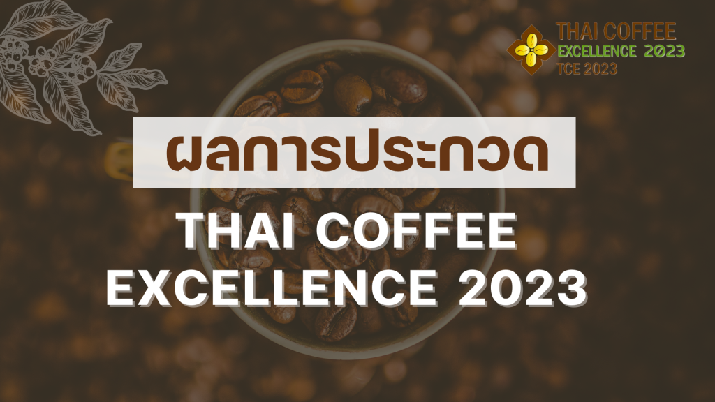 ผลการประกวด “โครงการประกวดสุดยอดกาแฟไทย ปี 2566”