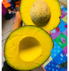 KK4 4kr2 - Merin Boonin