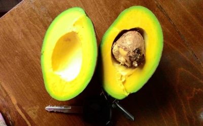 ผล2 - Merin Boonin