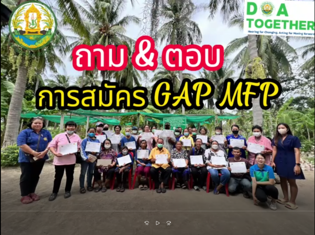ถาม&ตอบ การสมัครGAP MFP