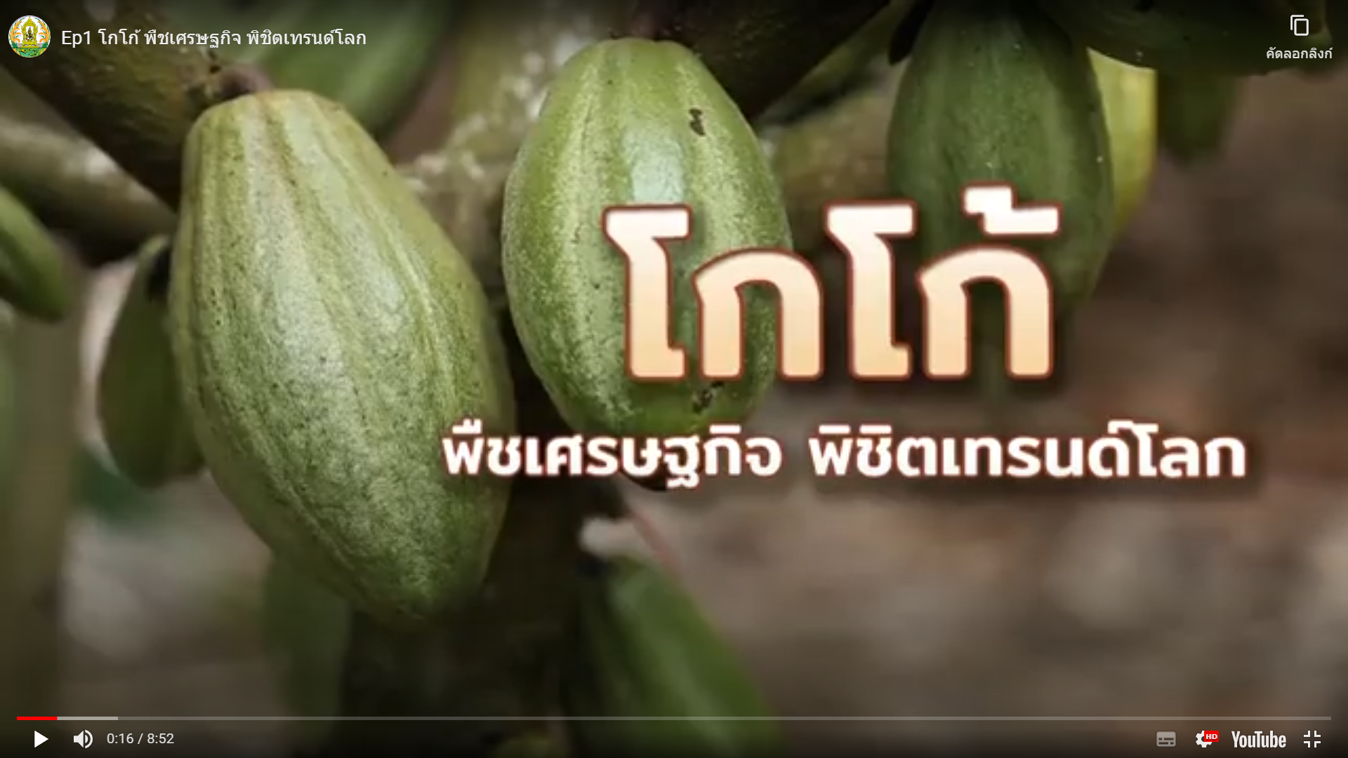 เรื่องของ “โกโก้”