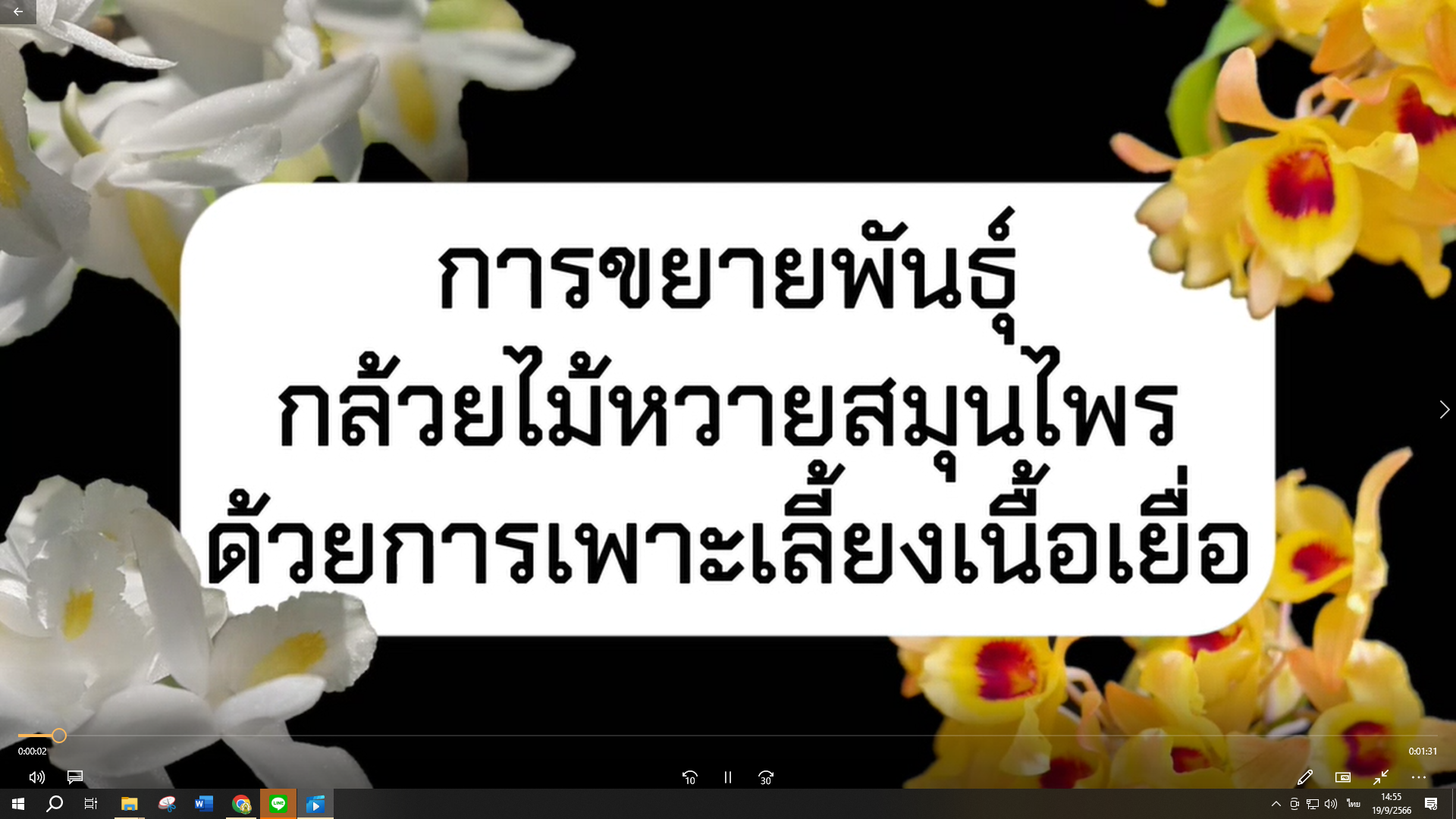 การขยายพันธุ์กล้วยไม้หวายสมุนไพรด้วยการเพาะเลี้ยงเนื้อเยื่อ