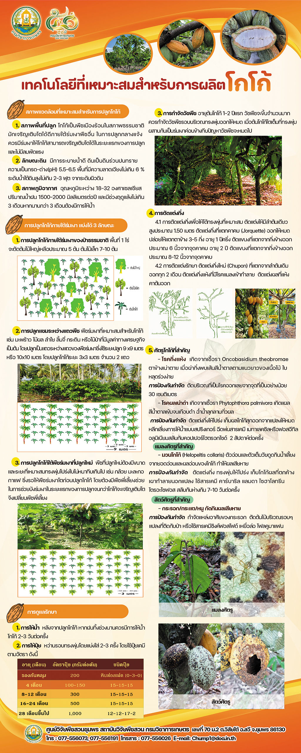 เทคโนโลยีที่เหมาะสมสำหรับการผลิตโกโก้