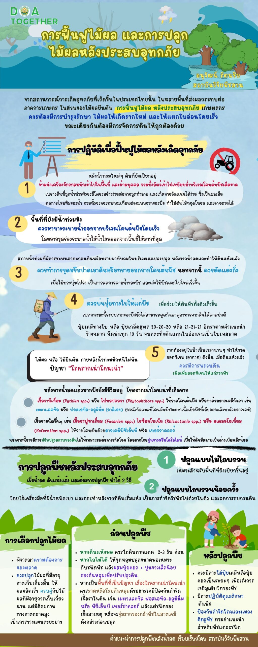 การฟื้นฟูไม้ผลและการปลูกไม้ผลหลังประสบอุทกภัย