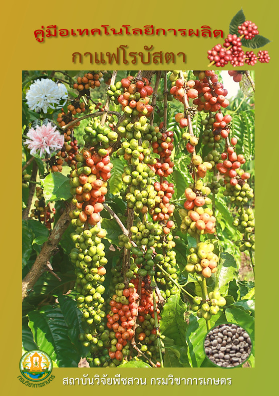คู่มือเทคโนโลยีการผลิตกาแฟโรบัสตา 2567