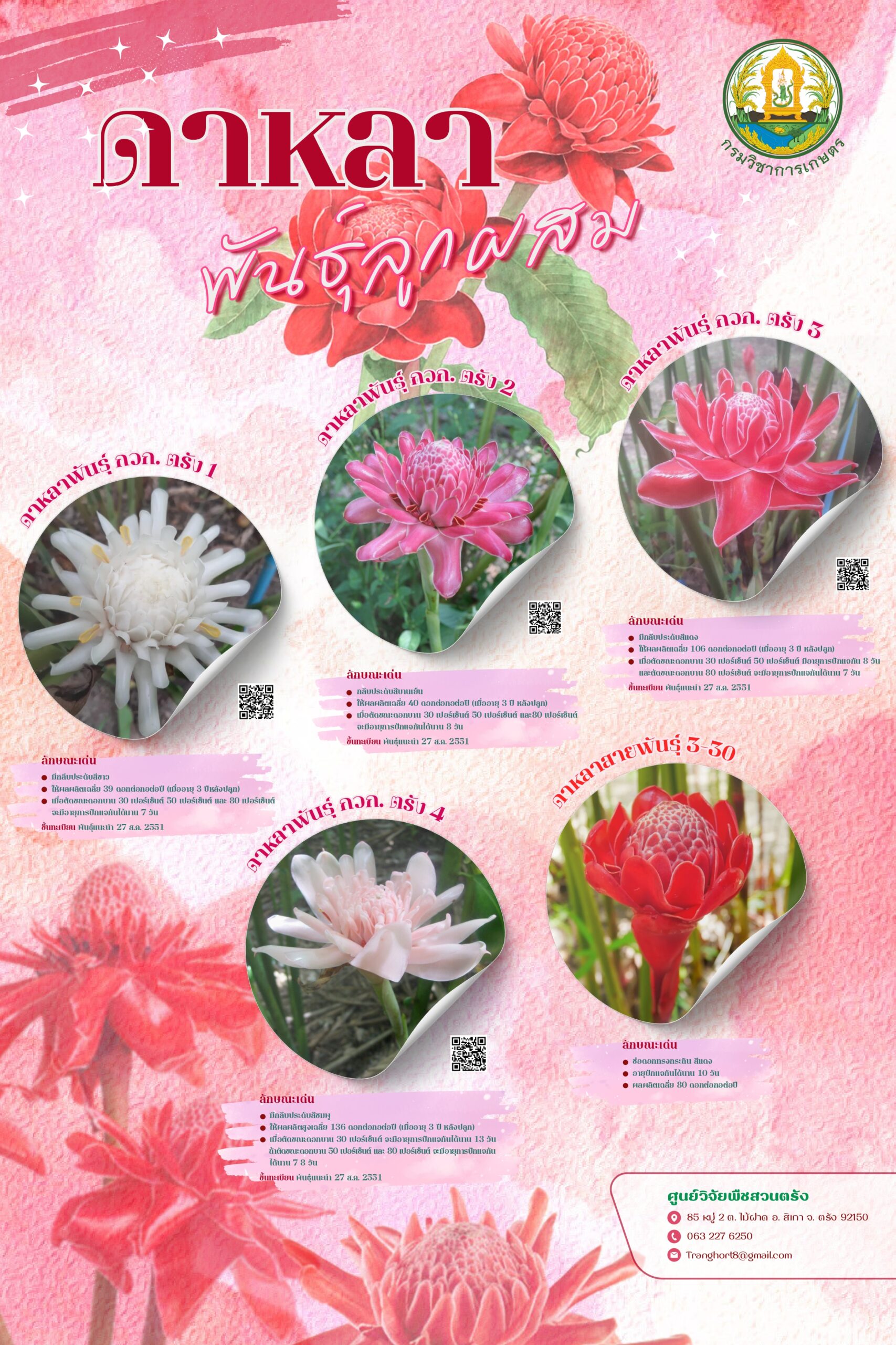 ดาหลาพันธุ์ลูกผสม