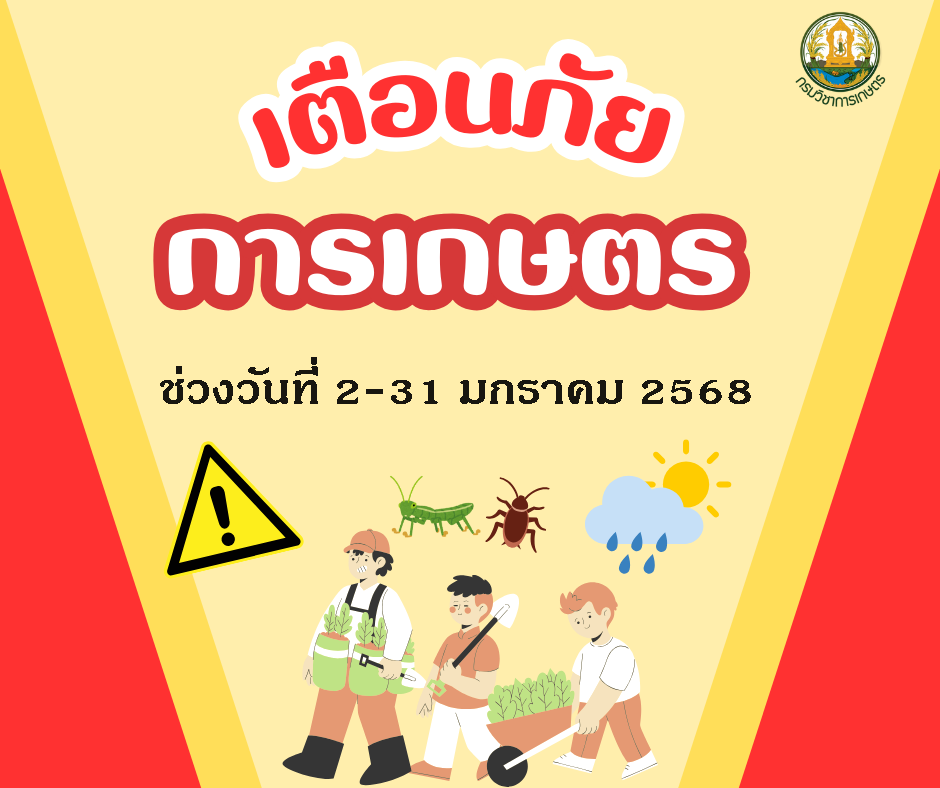 เตือนภัยการเกษตร ช่วงวันที่ 2-31 มกราคม 2568
