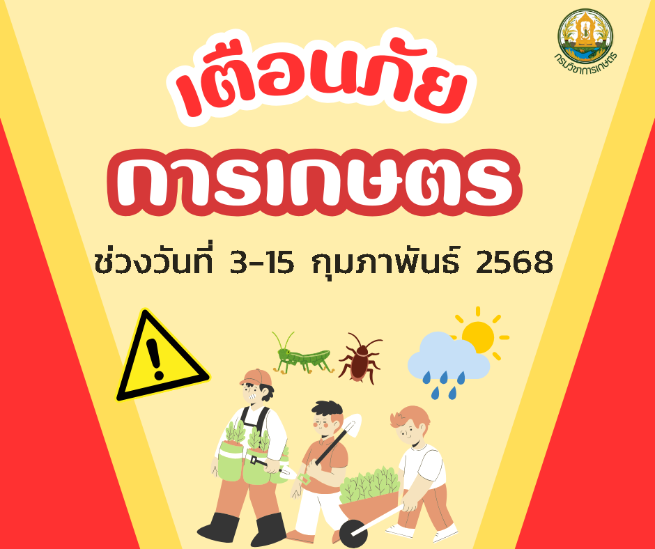 เตือนภัยการเกษตร ช่วงวันที่ 3-15 กุมภาพันธ์ 2568