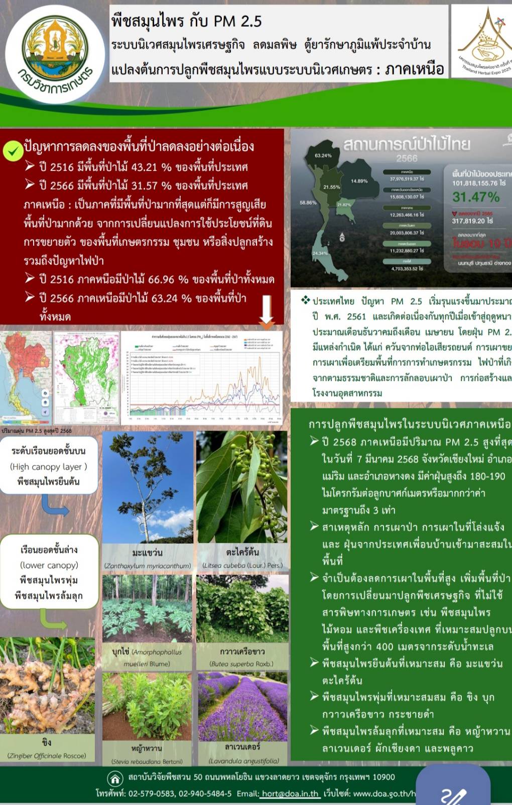 พืชสมุนไพรกับฝุ่น PM 2.5 (ภาคเหนือ)