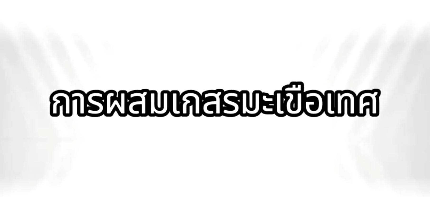 การผสมเกสรมะเขือเทศ