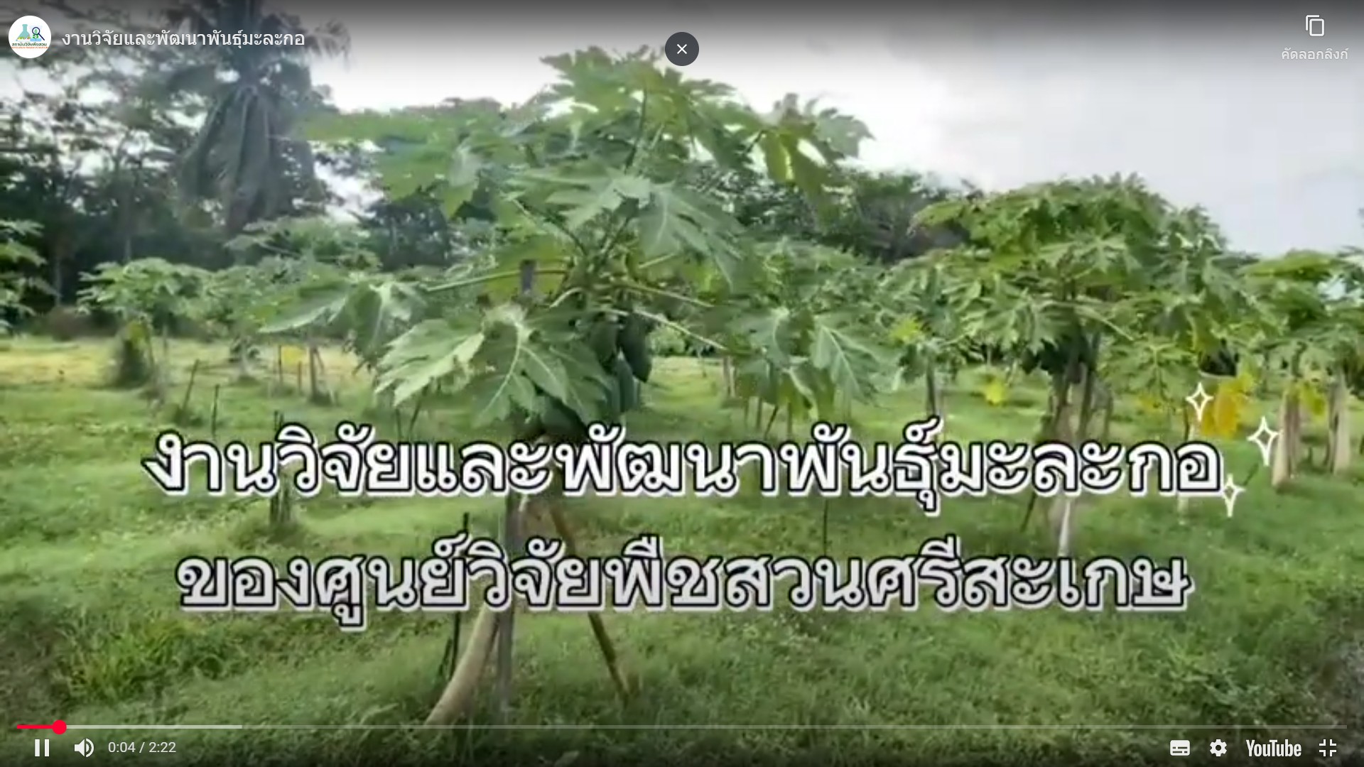 งานวิจัยและพัฒนาพันธุ์มะละกอ
