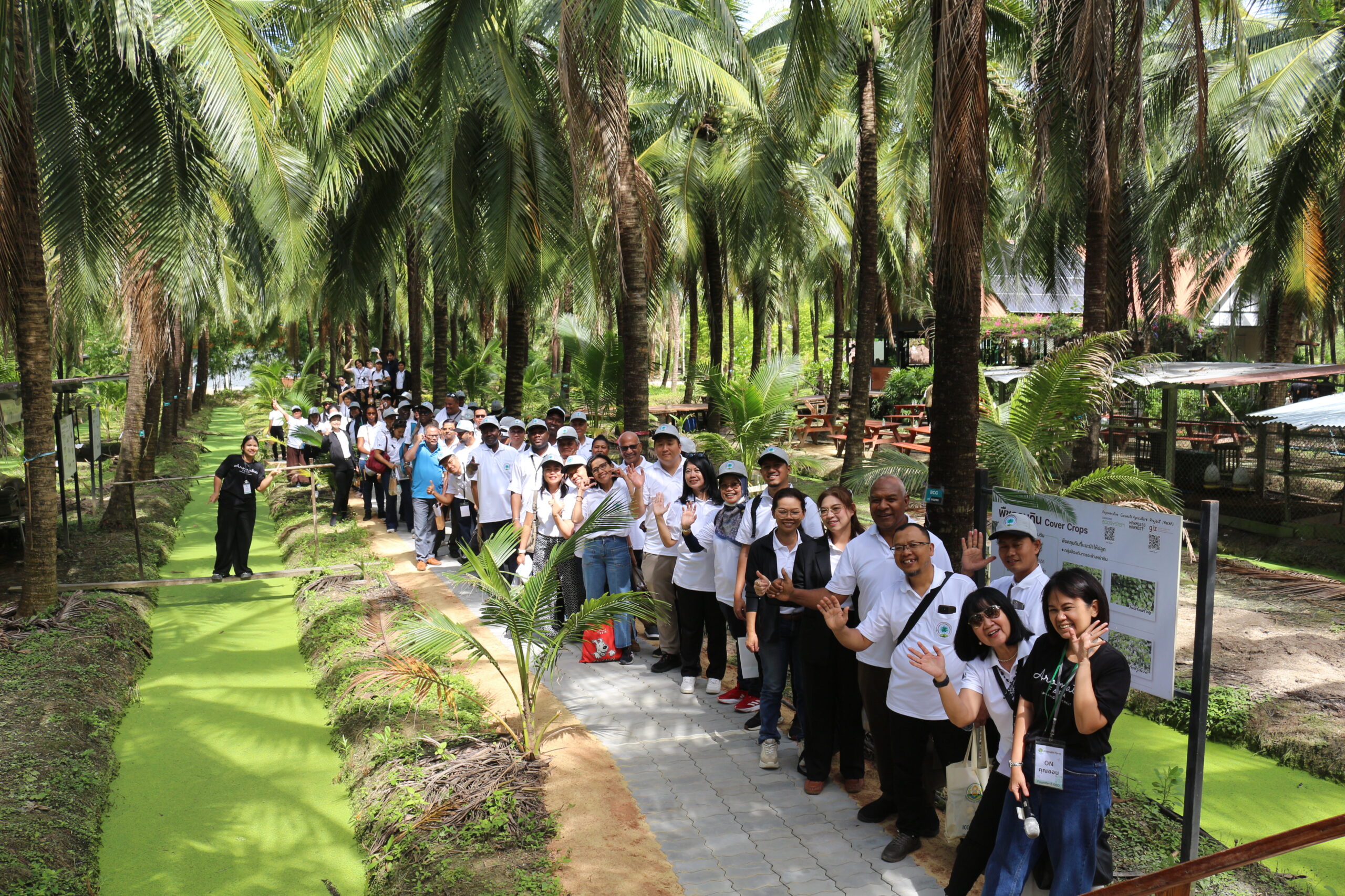 ประชุมคณะกรรมการบริหารชมรมมะพร้าวนานาชาติ ครั้งที่ 61 (The 61st ICC Session 2025)  วันที่สี่