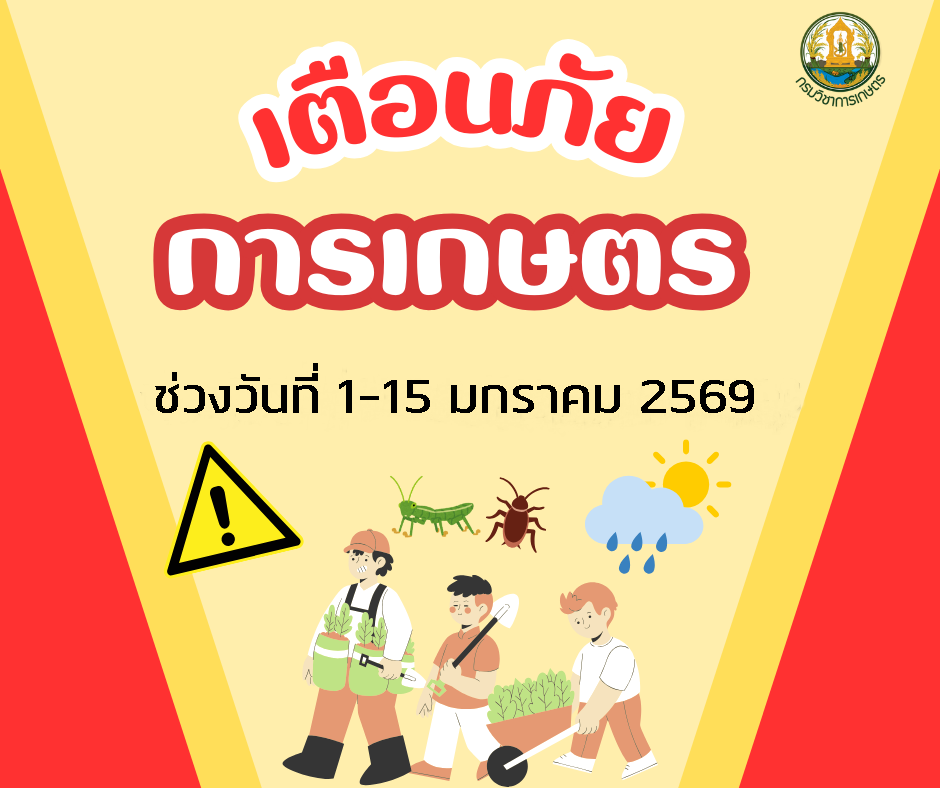 เตือนภัยการเกษตร ช่วงวันที่ 1-15 มกราคม 2569
