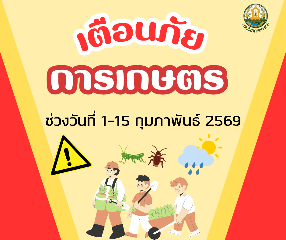เตือนภัยการเกษตร ช่วงวันที่ 1-15 กุมภาพันธ์ 2569