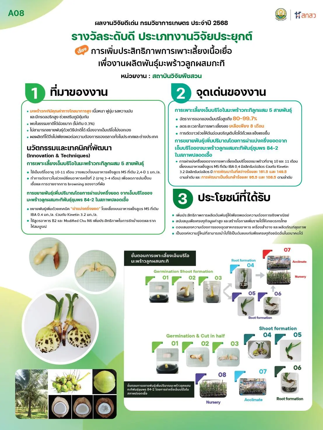 การเพิ่มประสิทธิภาพการเพาะเลี้ยงเนื้อเยื่อเพื่องานผลิตพันธุ์มะพร้าวลูกผสมกะทิ